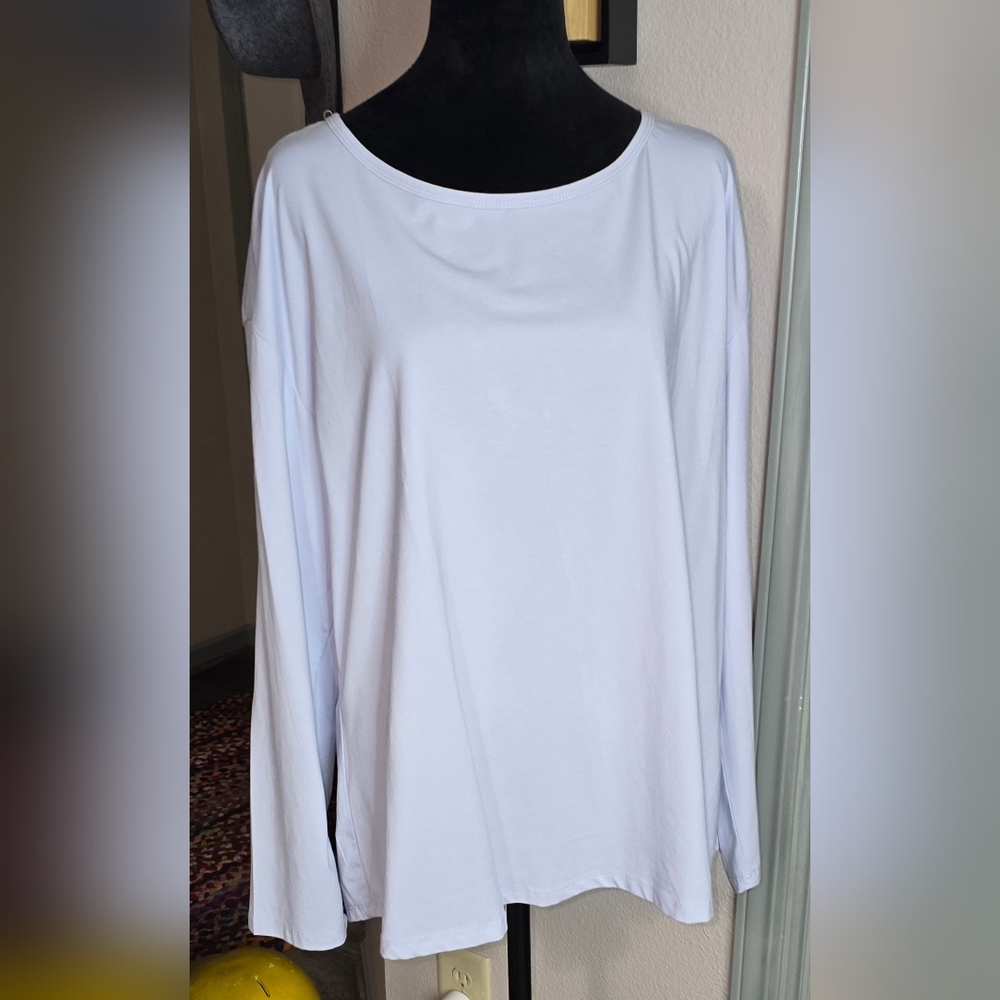 Isabella Light Baby Blue Long Sleeve Active Wear Top (K)